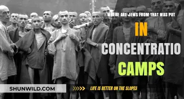 Origins of Jews Imprisoned in Nazi Concentration Camps: A Historical Overview