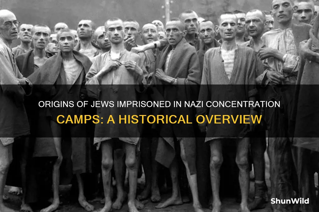 where are jews from that was put in concentration camps