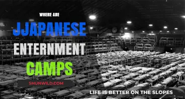 Unveiling the Hidden Horrors: Japanese Internment Camps in History