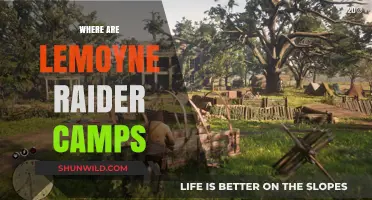 Exploring the Locations of Lemoyne Raider Camps in Red Dead Redemption 2