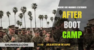 Post-Boot Camp: Where Marines Are Stationed Next
