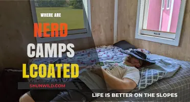 Unveiling the Global Nerd Camp Scene: A Comprehensive Guide