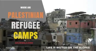 Exploring the Locations of Palestinian Refugee Camps Worldwide