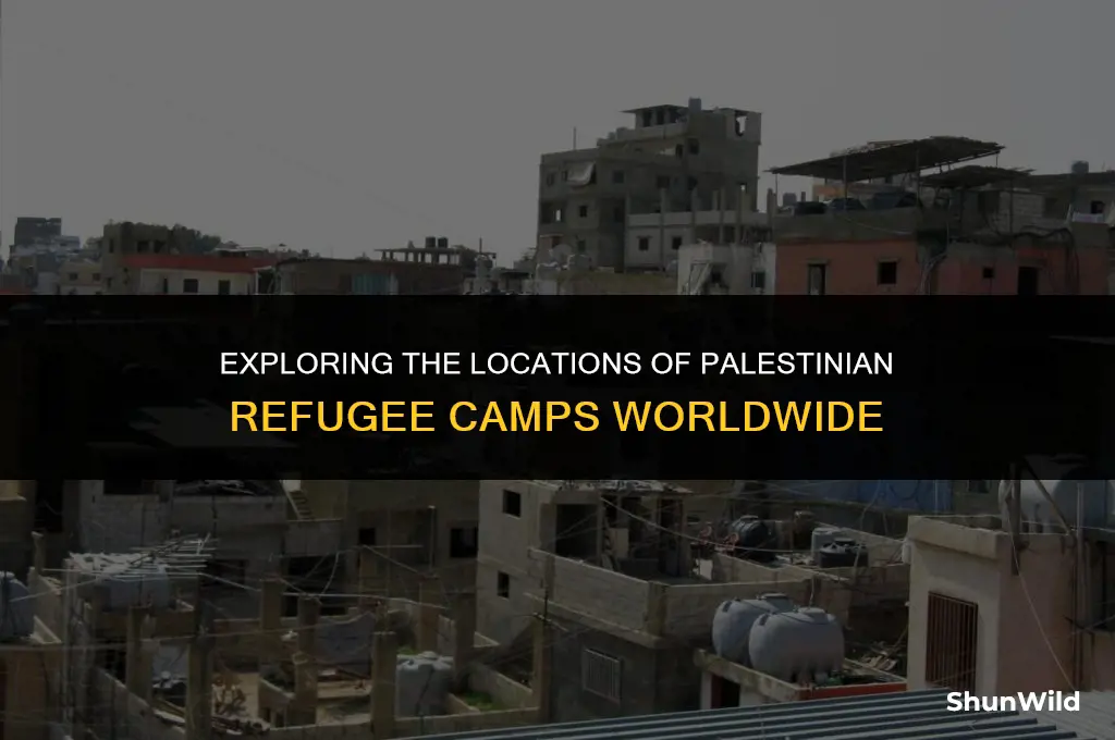 where are palestinian refugee camps