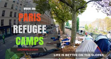 Exploring the Humanitarian Crisis: Paris Refugee Camps Unveiled