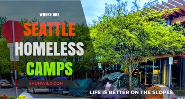 Exploring Seattle: A Guide to Homeless Camps and Shelters
