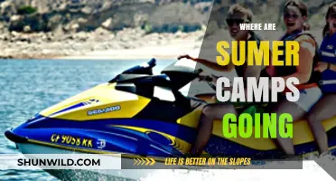 Where Are Summer Camps Heading: Trends and Future Insights