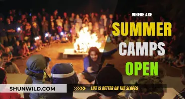 Discover Exciting Summer Camps Near You: A Comprehensive Guide
