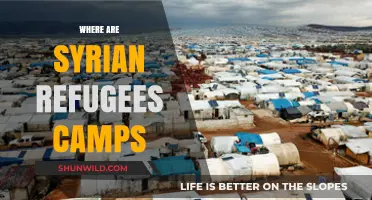 Safe Havens: Exploring the Locations of Syrian Refugee Camps