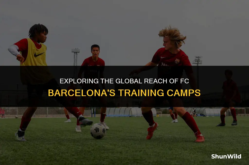 where are the barca camps