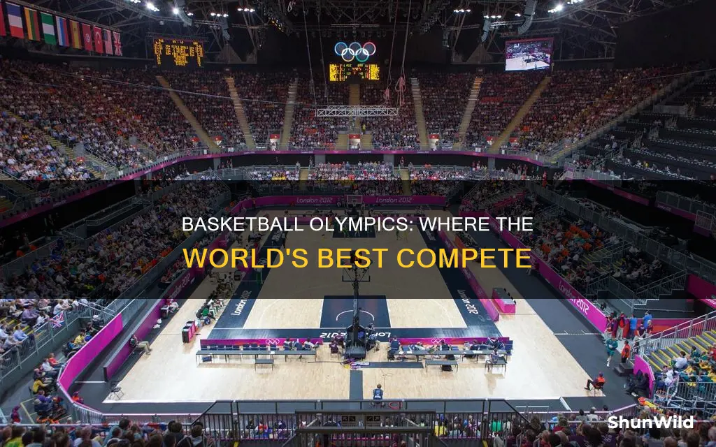 where are the basketball olympics