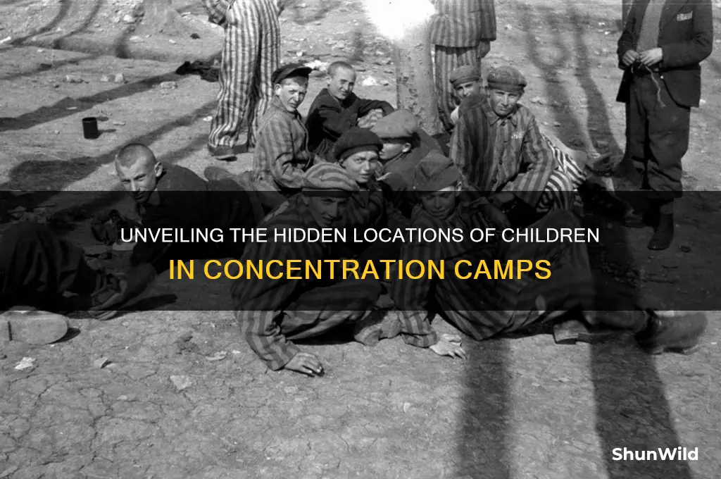 where are the children being kept concentration camps