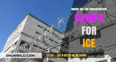 Unveiling the Hidden Locations of Ice Concentration Camps