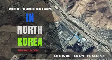 Unveiling North Korea's Hidden Concentration Camps: Locations and Realities