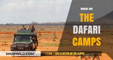 Exploring the Global Footprint of Dafari Camps: A Journey Unveiled