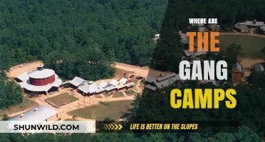 Unveiling the Hidden: A Deep Dive into Gang Camps and Territories