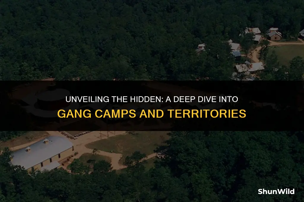 where are the gang camps