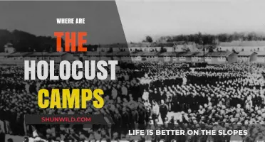Unveiling the Haunting Legacy: A Journey Through Holocaust Camps