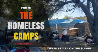 Exploring the Hidden Shelters: A Journey Through Homeless Camps