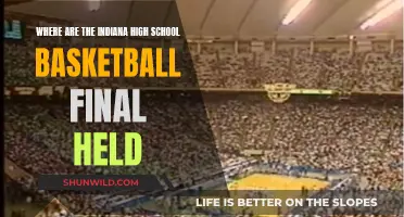 Hoosier Hysteria: Indiana's Basketball Finals at Lucas Oil Stadium