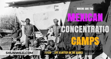 Uncovering the Hidden History of Mexican Concentration Camps