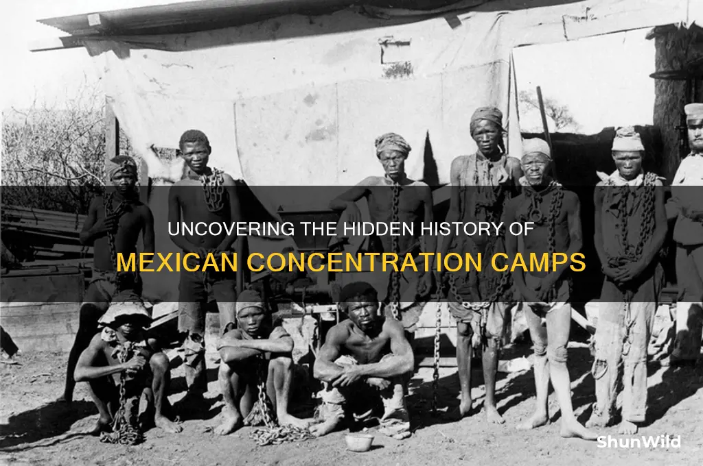 where are the mexican concentration camps