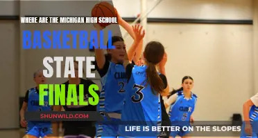 Michigan's High School Basketball State Finals: Where Champions Are Crowned