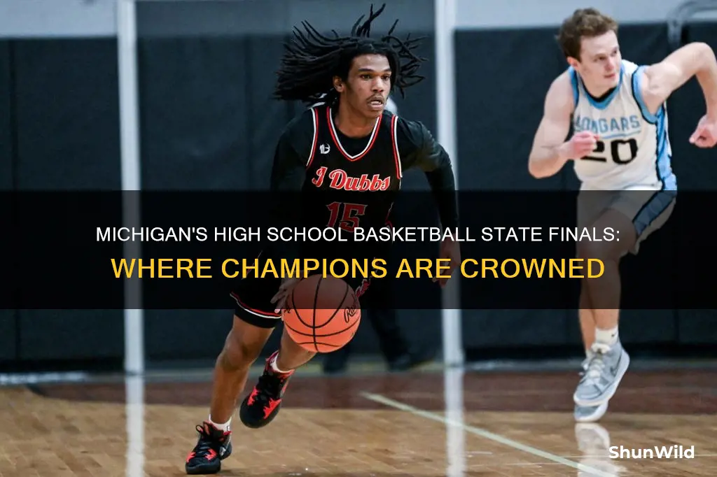 where are the michigan high school basketball state finals
