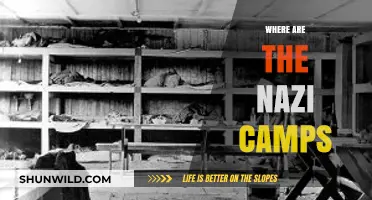 Unveiling the Dark History: Nazi Camps and Their Legacy