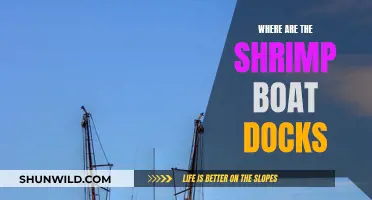 Exploring the Shrimp Boat Docks: A Guide to the Piers