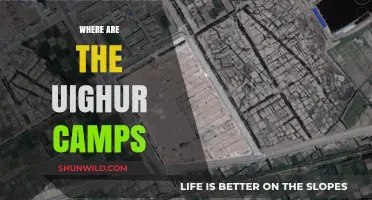 Unveiling the Hidden Reality: Uyghur Camps and Global Response