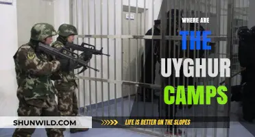 Unveiling the Hidden Reality: Uyghur Camps and Global Response