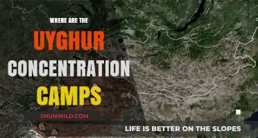 Uyghur Concentration Camps: Locations, Evidence, and Global Response