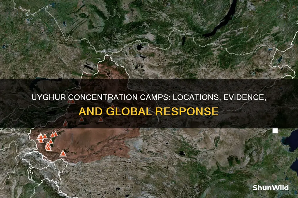 where are the uyghur concentration camps