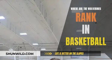 Wolverines' Basketball Ranking: Where Do They Stand?