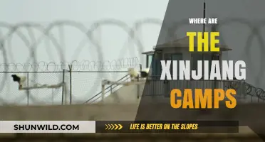 Unveiling the Hidden Reality: Xinjiang Camps Exposed