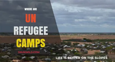 Exploring the Global Landscape of UN Refugee Camps
