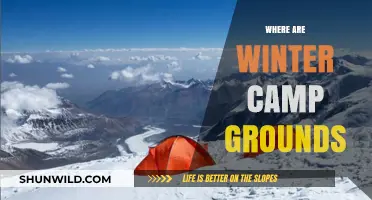 Discover the Perfect Winter Campgrounds for Your Next Adventure