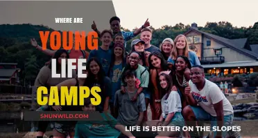 Exploring the Locations of Young Life Camps Worldwide