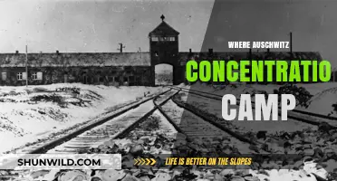 Auschwitz Concentration Camp: Location, History, and Legacy Explored
