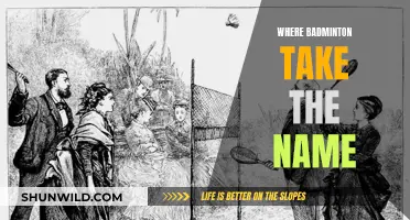 Badminton's Name Origin: A Historical Perspective