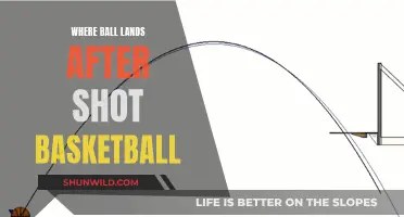 The Perfect Shot: Where the Ball Lands in Basketball