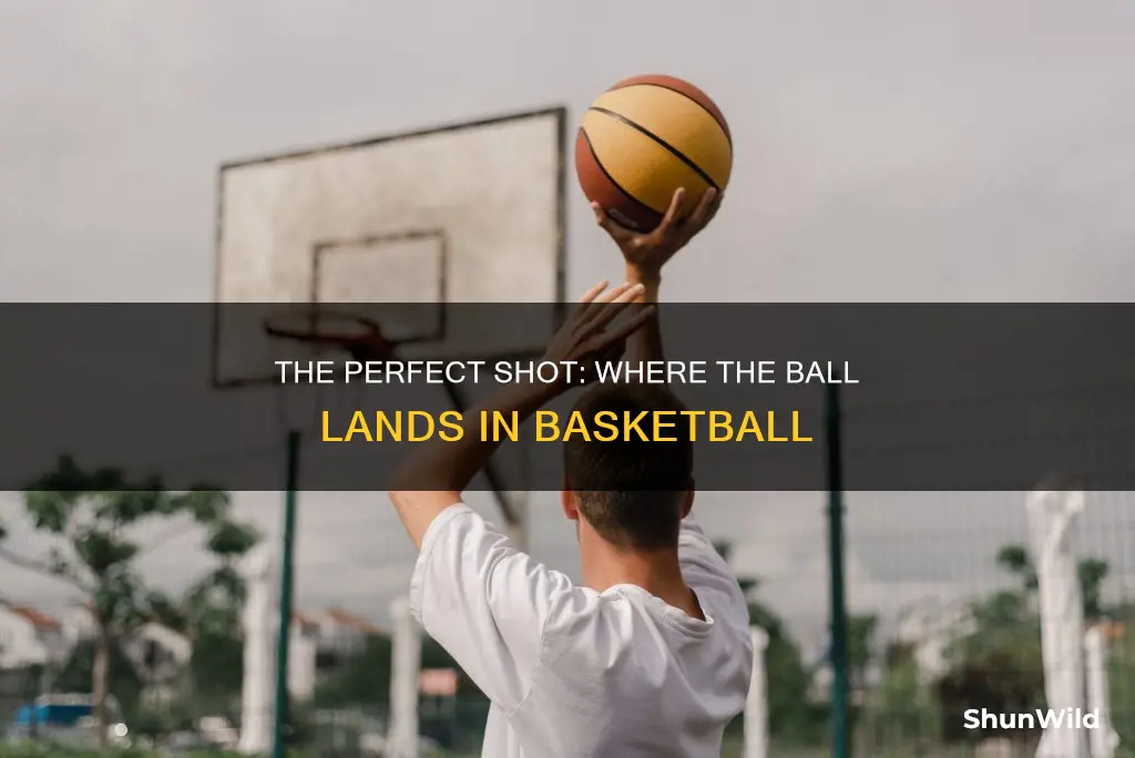 where ball lands after shot basketball