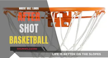 The Science of Basketball: Ball's Landing Spot