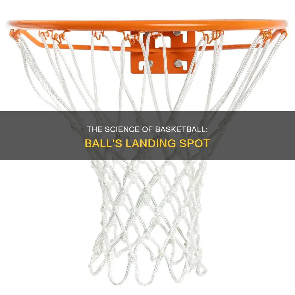 where ball lands after shot basketball