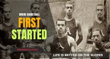 Basketball's Birthplace: Where the Game Took its First Steps