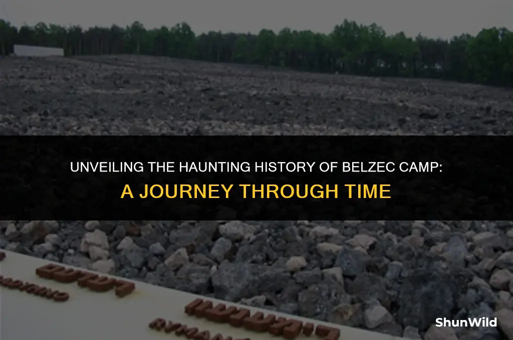 where belzec camp located