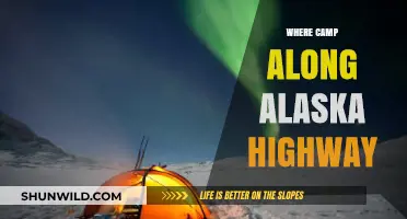 Exploring the Best Campsites Along Alaska's Scenic Highway