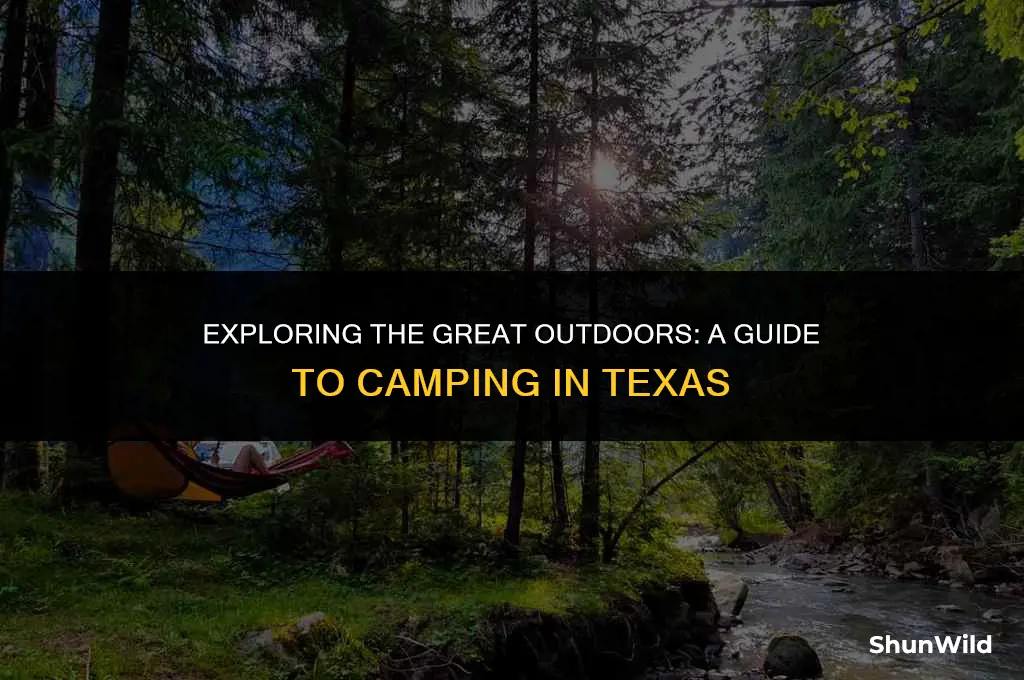 where camp country texas