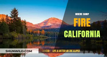 Where California's Campfires Burn Bright: A Guide to Safe and Scenic Spots